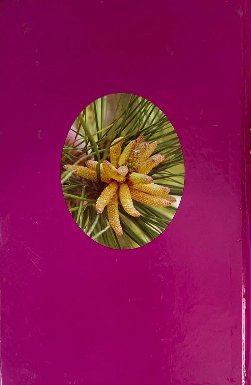 Sachitra Vanaspati Vigyan Shabdkosh - Image 2